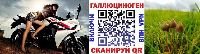 Псилоцибиновые грибы MAGIC MUSHROOMS  закладки  mega зеркало  Туринск 
